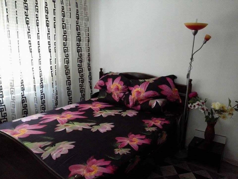 Apartament Ela Elegance Lägenhet Orşova Exteriör bild